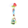 Clear Glass Waterpipe with Onepiece Print (H25cm)