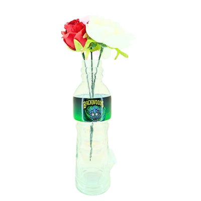 S Bottle Glass Waterpipe with Rick & Morty Print (23cm)