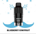 IGET Bar Plus (10K & 6K Puffs) (New Variant)