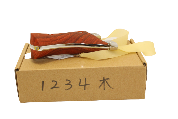 Slingshot 1234